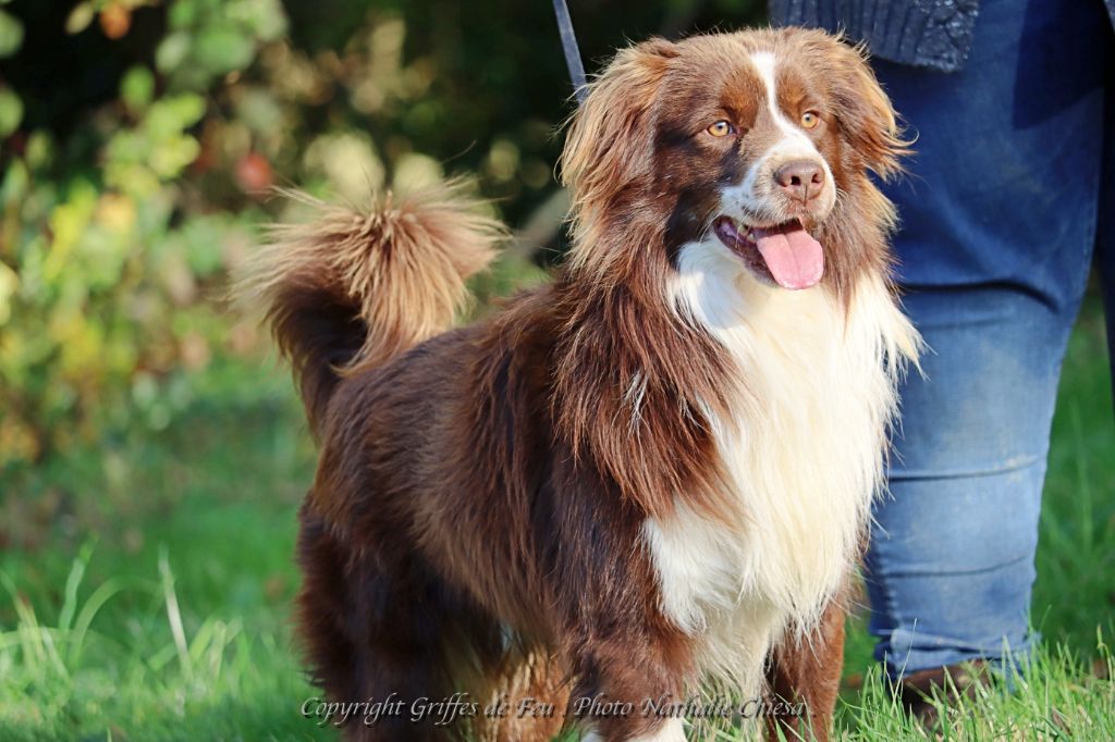 Nikone haute performance des Romarins de Mayerling